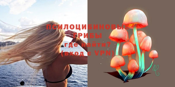 МДПВ Армянск