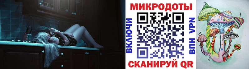 Галлюциногенные грибы Psilocybe  Слободской 